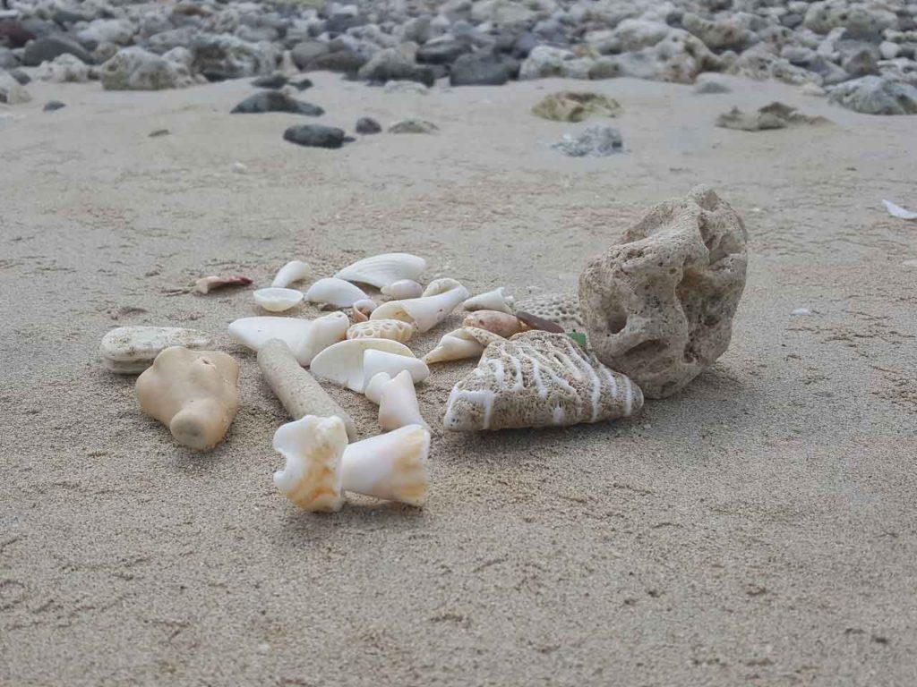 beach stones